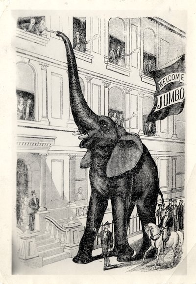 Black and white image of Jumbo the Elephant being welcomed to New York City, 1882.